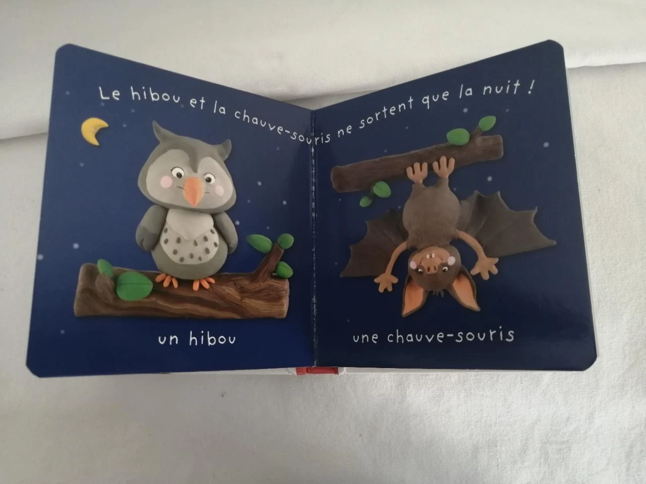 l'imagerie des bébés - la forït – photo 5
